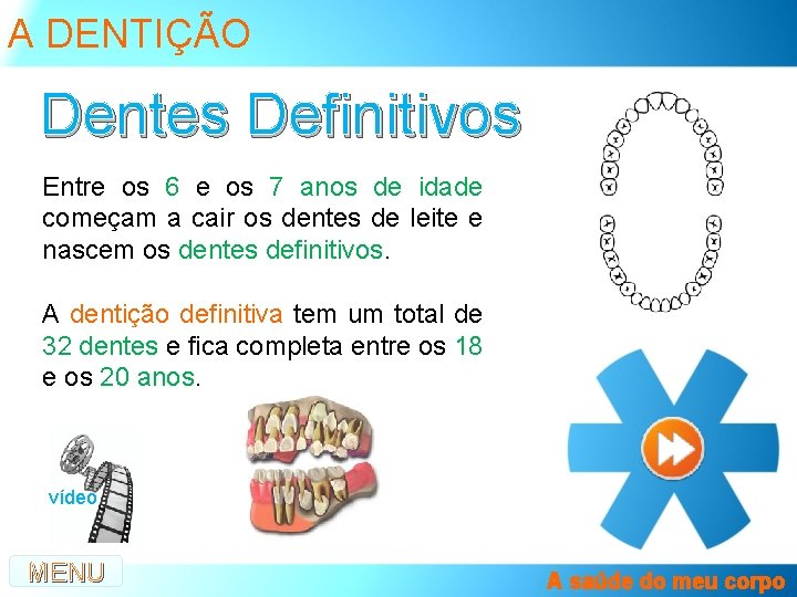 A DENTIÇÃO Dentes Definitivos Entre os 6 e os 7 anos de idade começam