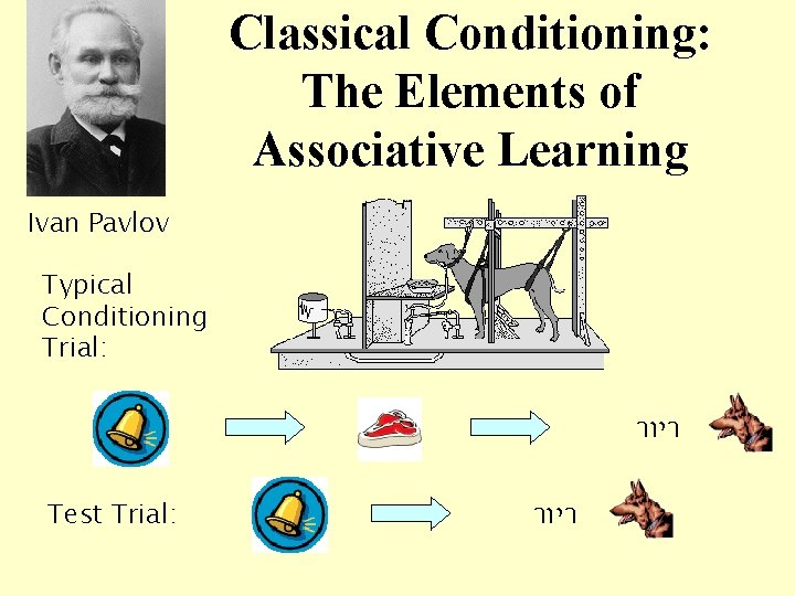 Classical Conditioning: The Elements of Associative Learning Ivan Pavlov Typical Conditioning Trial: ריור Test