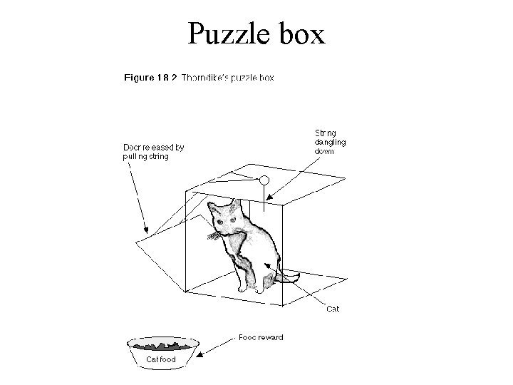 Puzzle box 