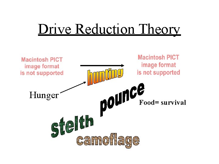 Drive Reduction Theory Hunger Food= survival 