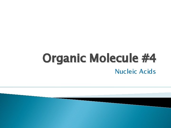 Organic Molecule #4 Nucleic Acids 