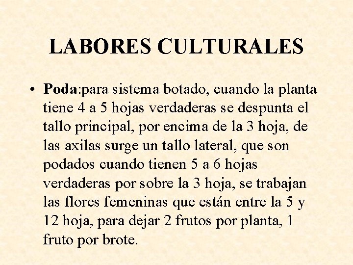 LABORES CULTURALES • Poda: para sistema botado, cuando la planta tiene 4 a 5