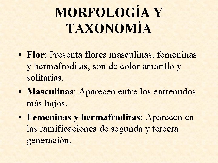 MORFOLOGÍA Y TAXONOMÍA • Flor: Presenta flores masculinas, femeninas y hermafroditas, son de color