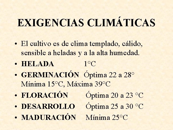 EXIGENCIAS CLIMÁTICAS • El cultivo es de clima templado, cálido, sensible a heladas y