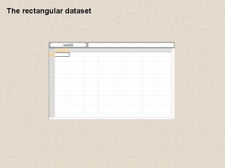 The rectangular dataset The rectangular dataset