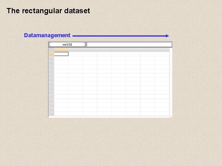 The rectangular dataset Datamanagement The rectangular dataset Datamanagement