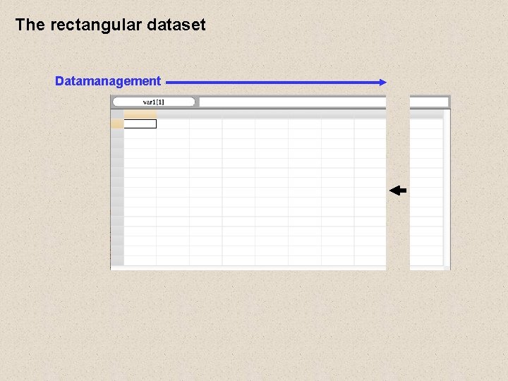 The rectangular dataset Datamanagement The rectangular dataset Datamanagement