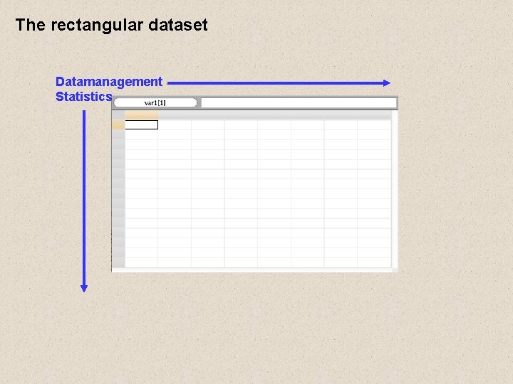 The rectangular dataset Datamanagement Statistics The rectangular dataset Datamanagement Statistics
