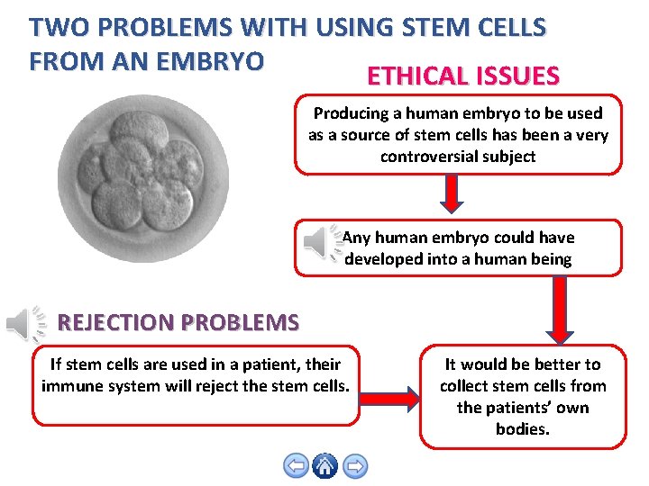 TWO PROBLEMS WITH USING STEM CELLS FROM AN EMBRYO ETHICAL ISSUES Producing a human