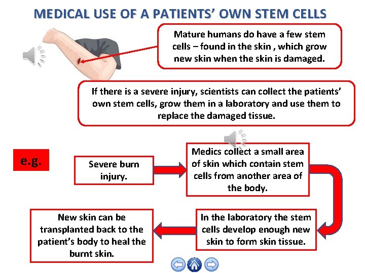 MEDICAL USE OF A PATIENTS’ OWN STEM CELLS Mature humans do have a few