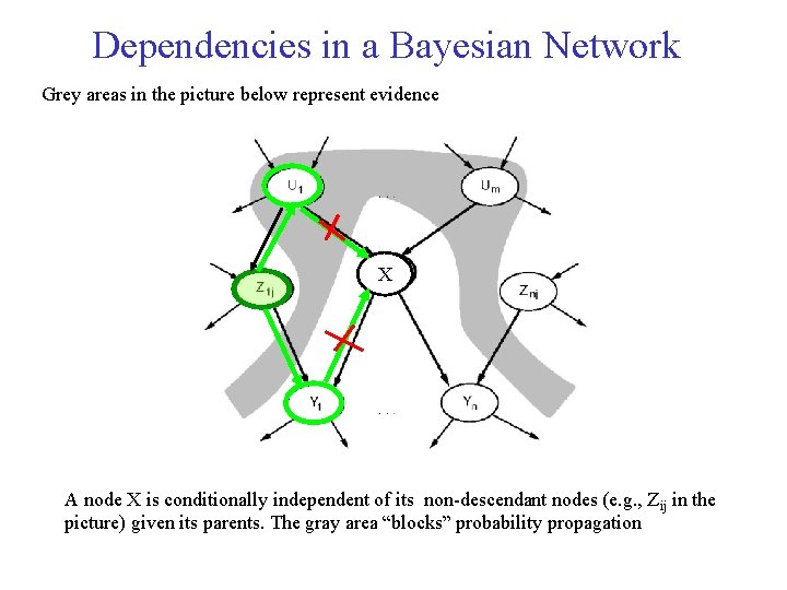 Dependencies in a Bayesian Network Grey areas in the picture below represent evidence X