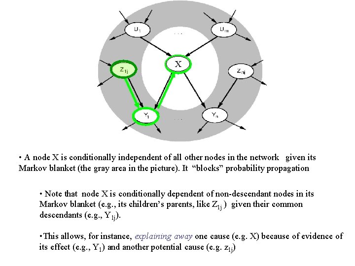 X • A node X is conditionally independent of all other nodes in the