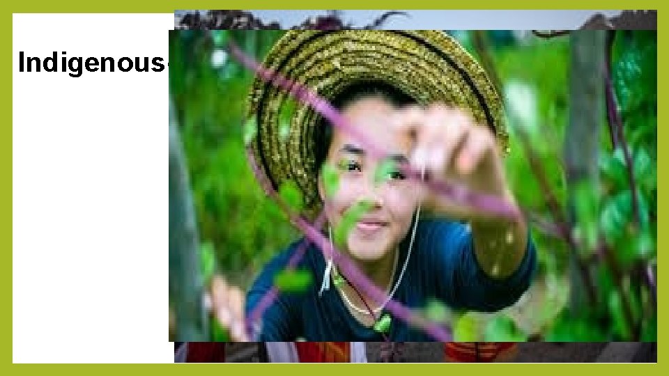 Synonyms Indigenous- native , original, local, homegrown, first 