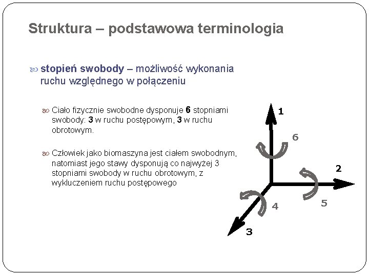 STRUKTURA I GEOMETRIA MODELOWANIE CZOWIEKA W UJCIU BIOMECHANICZNYM