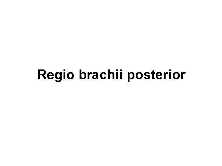 Regio brachii posterior 