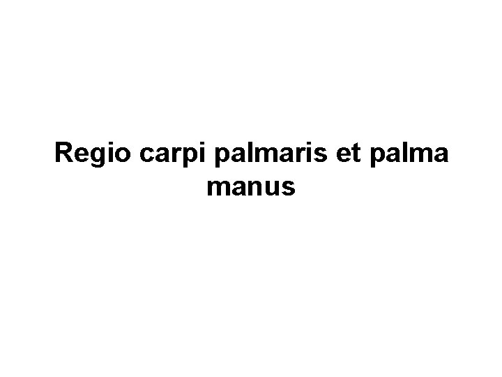Regio carpi palmaris et palma manus 