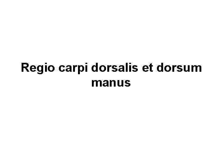 Regio carpi dorsalis et dorsum manus 