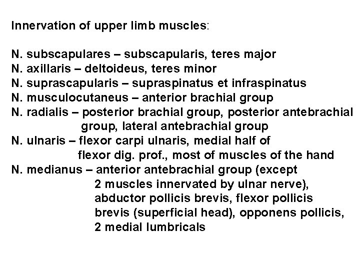 Innervation of upper limb muscles: N. subscapulares – subscapularis, teres major N. axillaris –