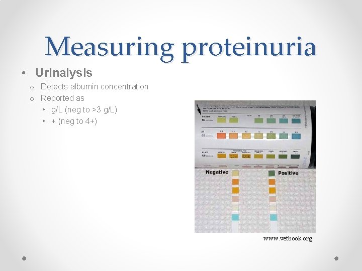 Measuring proteinuria • Urinalysis o Detects albumin concentration o Reported as • g/L (neg