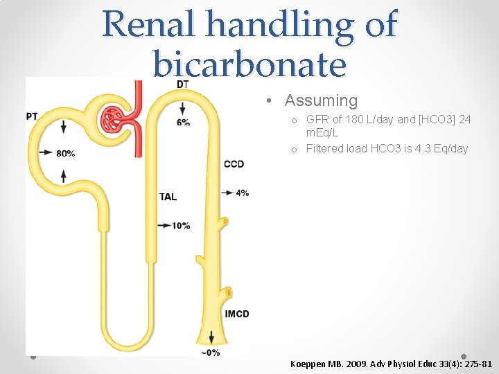Renal handling of bicarbonate • Assuming o GFR of 180 L/day and [HCO 3]