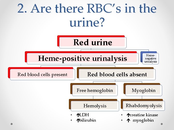 2. Are there RBC’s in the urine? Red urine Heme-positive urinalysis Red blood cells