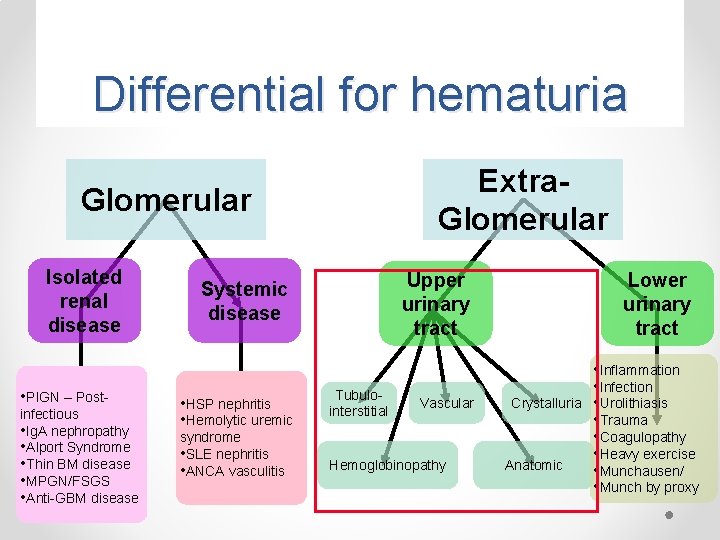 Differential for hematuria Extra. Glomerular Isolated renal disease • PIGN – Postinfectious • Ig.