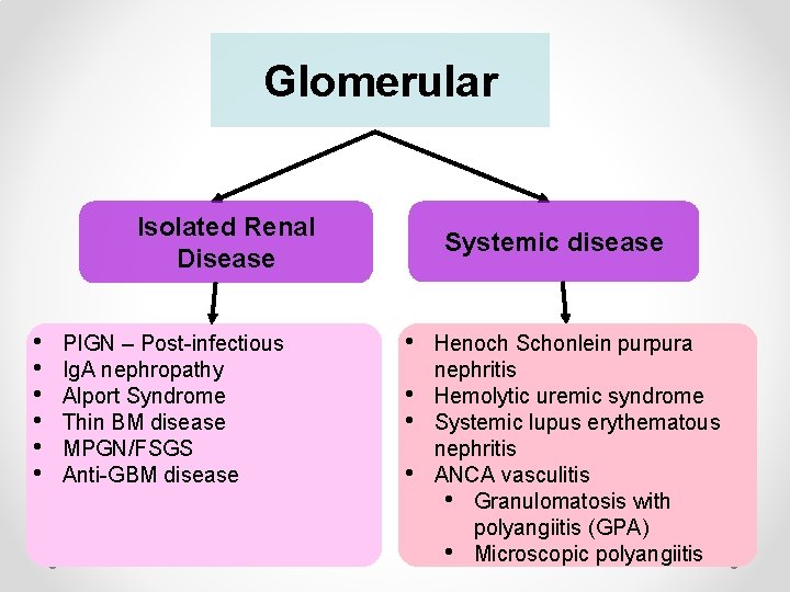 Glomerular Isolated Renal Disease • • • PIGN – Post-infectious Ig. A nephropathy Alport