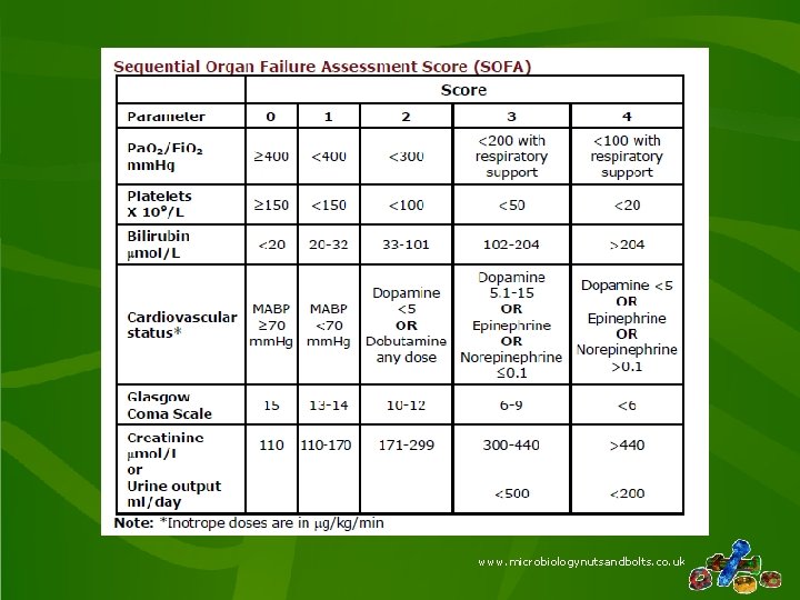 www. microbiologynutsandbolts. co. uk 