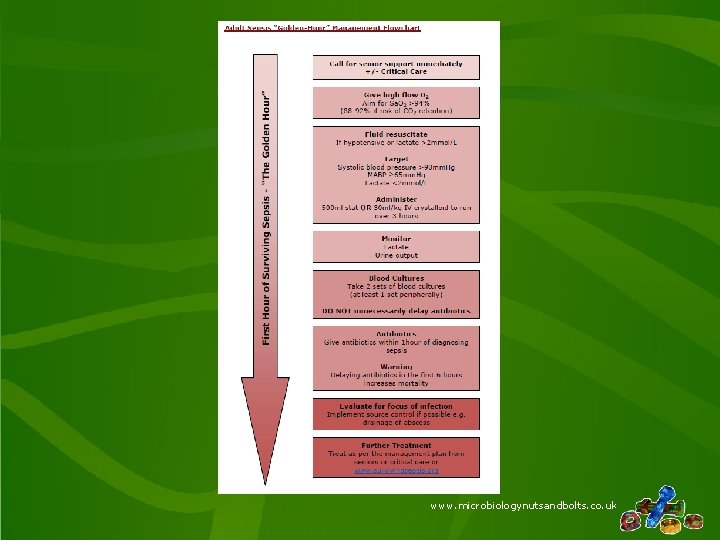 www. microbiologynutsandbolts. co. uk 