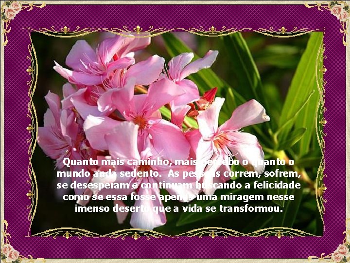 Quanto mais caminho, mais percebo o quanto o mundo anda sedento. As pessoas correm,