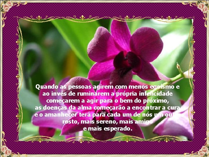 Quando as pessoas agirem com menos egoísmo e ao invés de ruminarem a própria