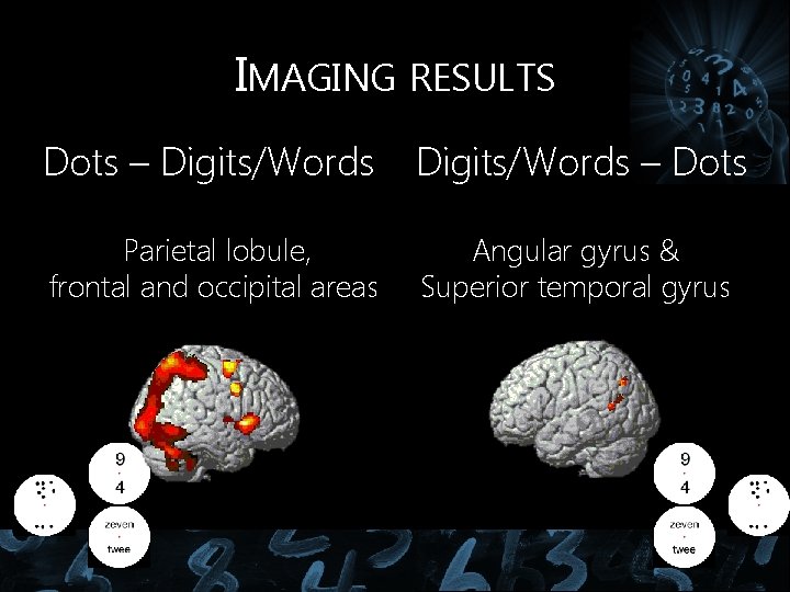 IMAGING RESULTS Dots – Digits/Words – Dots Parietal lobule, frontal and occipital areas Angular IMAGING RESULTS Dots – Digits/Words – Dots Parietal lobule, frontal and occipital areas Angular