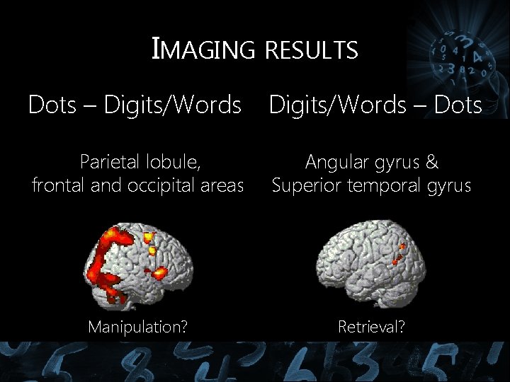 IMAGING RESULTS Dots – Digits/Words – Dots Parietal lobule, frontal and occipital areas Angular IMAGING RESULTS Dots – Digits/Words – Dots Parietal lobule, frontal and occipital areas Angular