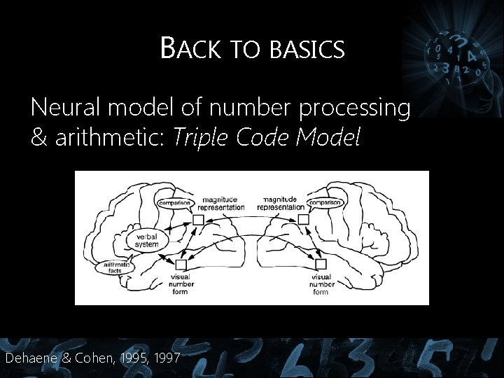 BACK TO BASICS Neural model of number processing & arithmetic: Triple Code Model Dehaene BACK TO BASICS Neural model of number processing & arithmetic: Triple Code Model Dehaene