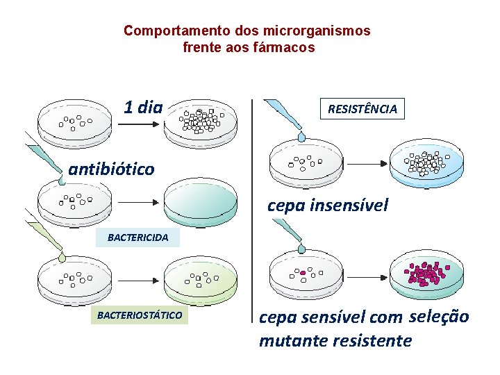 Comportamento dos microrganismos frente aos fármacos 1 dia ATIBIÓTICOS RESISTÊNCIA antibiótico cepa insensível BACTERICIDA