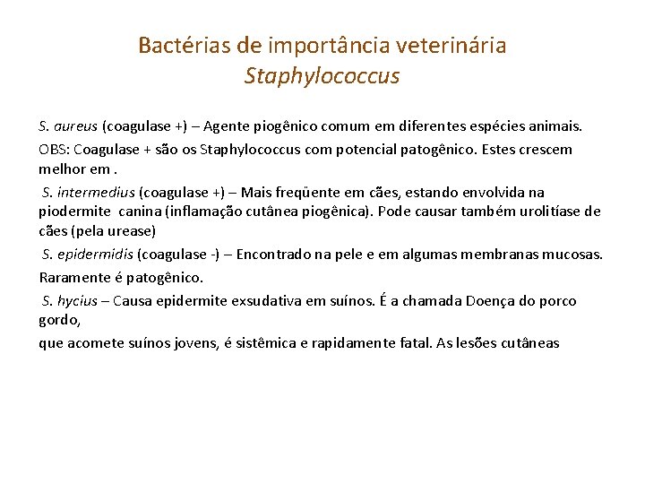 Bactérias de importância veterinária Staphylococcus S. aureus (coagulase +) – Agente piogênico comum em