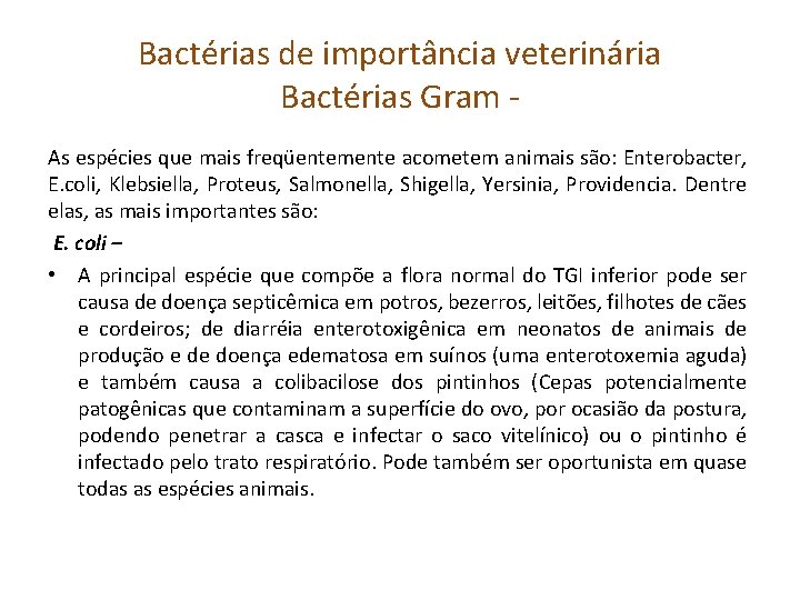 Bactérias de importância veterinária Bactérias Gram As espécies que mais freqüentemente acometem animais são: