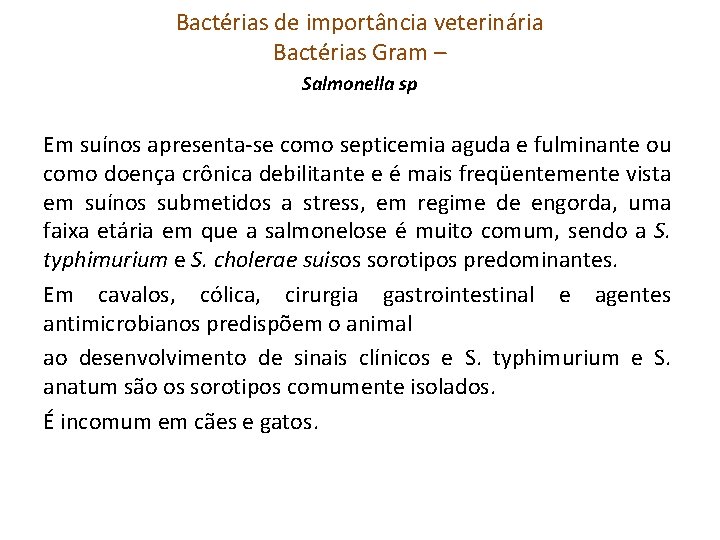 Bactérias de importância veterinária Bactérias Gram – Salmonella sp Em suínos apresenta-se como septicemia
