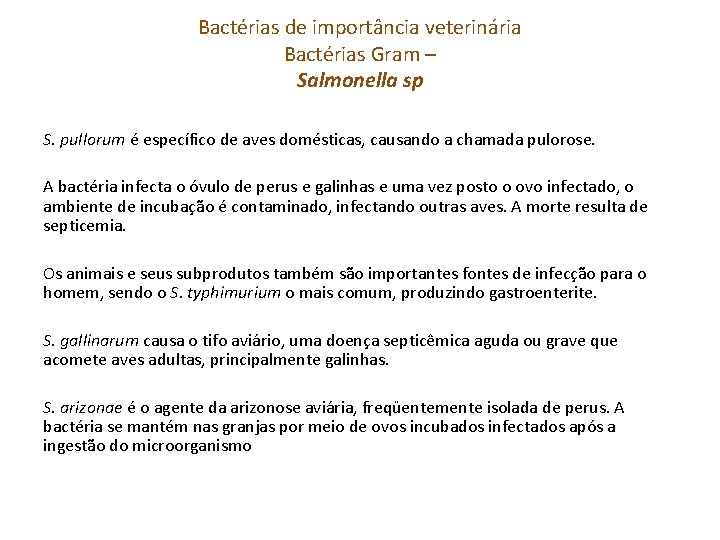 Bactérias de importância veterinária Bactérias Gram – Salmonella sp S. pullorum é específico de