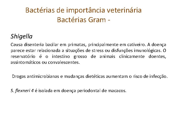 Bactérias de importância veterinária Bactérias Gram Shigella Causa disenteria bacilar em primatas, principalmente em