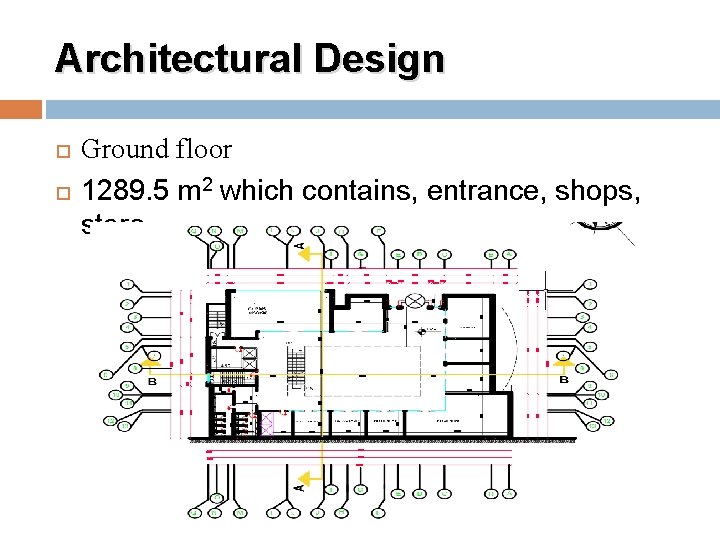 Architectural Design Ground floor 1289. 5 m 2 which contains, entrance, shops, store. 