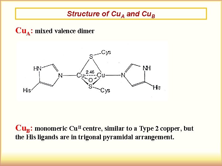 Structure of Cu. A and Cu. B Cu. A: mixed valence dimer Cu. B: