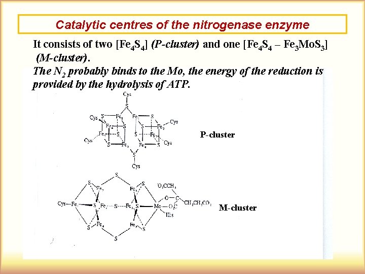 Catalytic centres of the nitrogenase enzyme It consists of two [Fe 4 S 4]