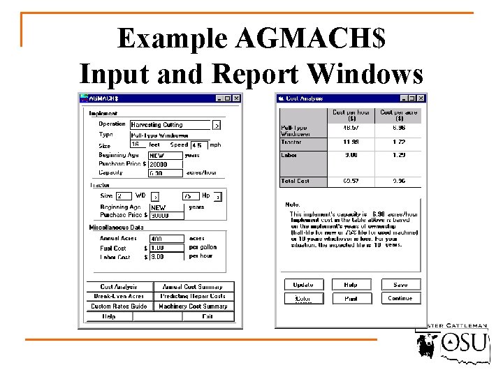 Example AGMACH$ Input and Report Windows 