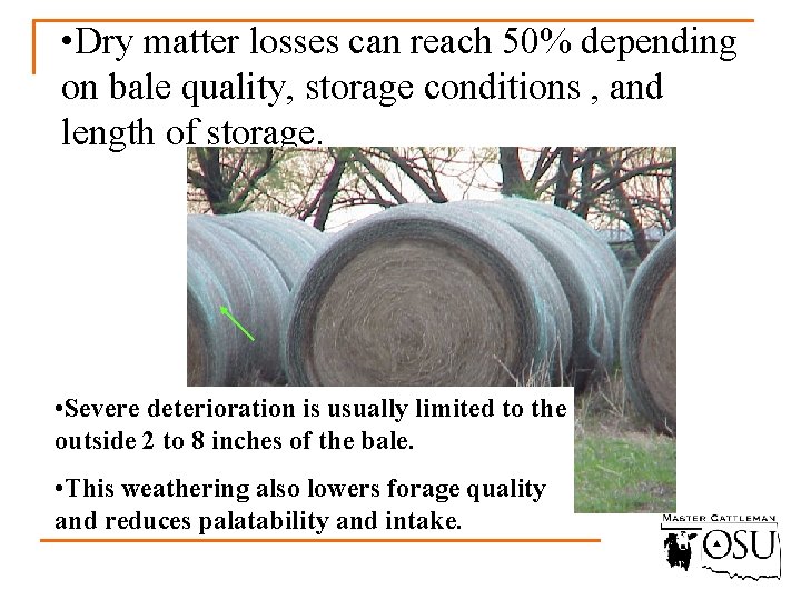  • Dry matter losses can reach 50% depending on bale quality, storage conditions