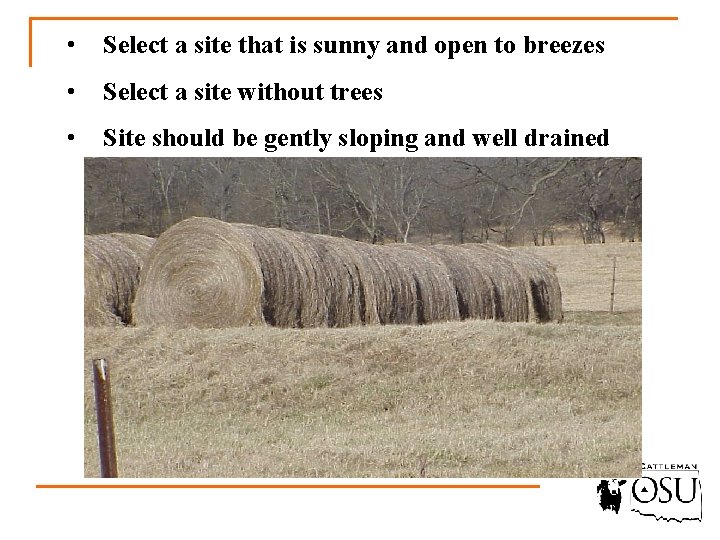  • Select a site that is sunny and open to breezes • Select