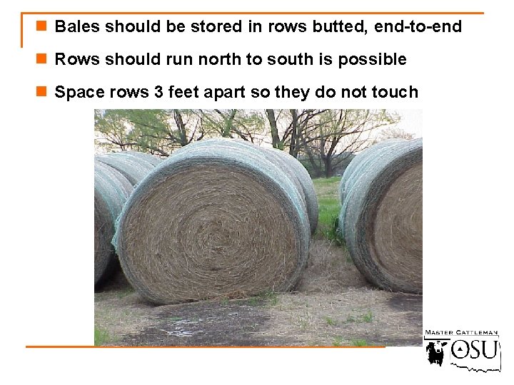 n Bales should be stored in rows butted, end-to-end n Rows should run north