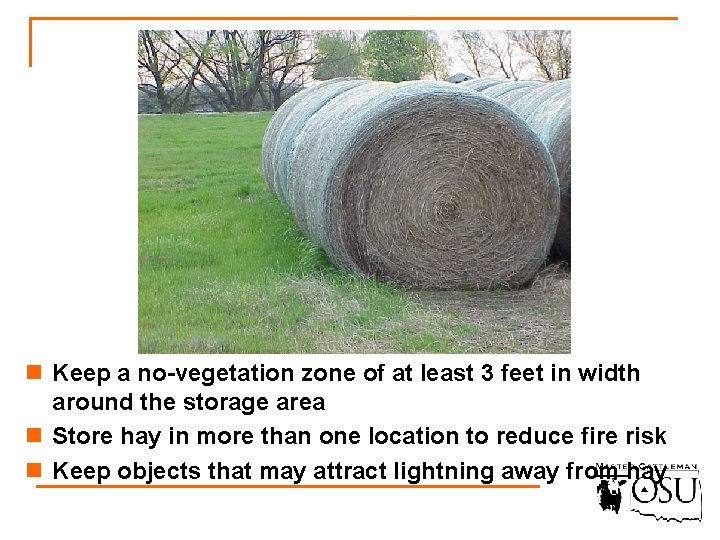 n Keep a no-vegetation zone of at least 3 feet in width around the