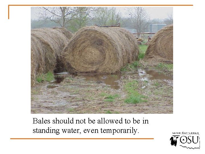 Bales should not be allowed to be in standing water, even temporarily. 